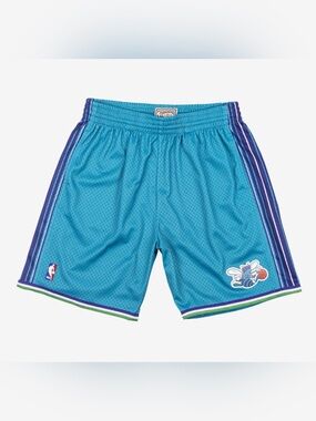 Mitchell & Ness Men's Teal Charlotte Hornets Swingman Shorts Size Small